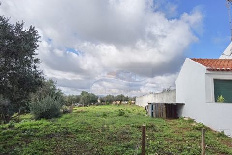 Terra a Alandroal, Evora, Alandroal - € 79.000 | Ref: AP9445 - foto 3