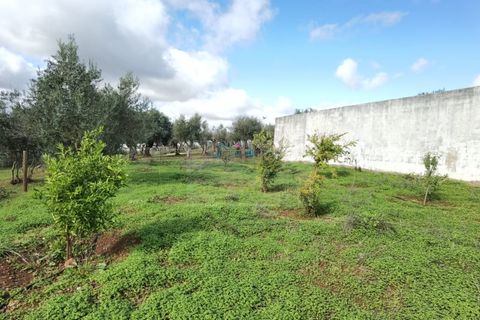 Terra a Alandroal, Evora, Alandroal - € 79.000 | Ref: AP9445 - foto 7