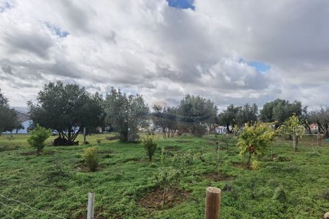 Terra a Alandroal, Evora, Alandroal - € 79.000 | Ref: AP9445 - foto 9