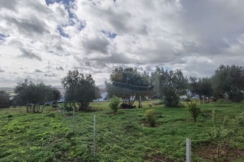 Terra a Alandroal, Evora, Alandroal - € 79.000 | Ref: AP9445 - foto 11