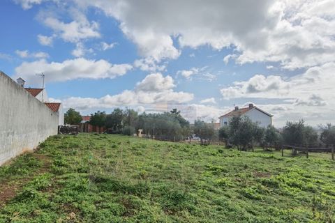 Terra a Alandroal, Evora, Alandroal - € 79.000 | Ref: AP9445 - foto 13
