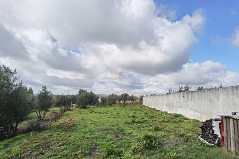 Terra a Alandroal, Evora, Alandroal - € 79.000 | Ref: AP9445 - foto 15