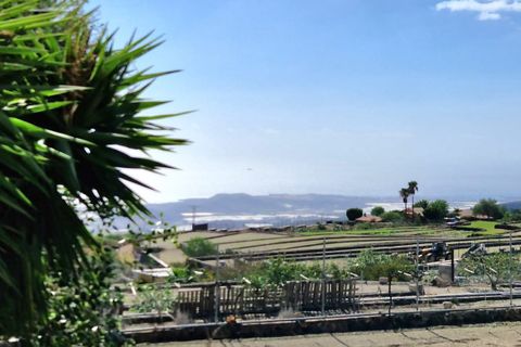 Tenuta San Miguel De Abona, Tenerife - foto 2