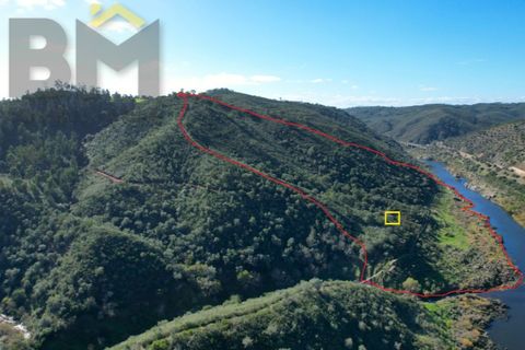 Helårsgrund i Arez e Amieira do Tejo, Portalegre, Arez e Amieira do Tejo - € 150.000 | Ref: 4571 - foto 1