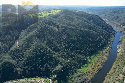 Helårsgrund i Arez e Amieira do Tejo, Portalegre, Arez e Amieira do Tejo - € 150.000 | Ref: 4571 - foto 2