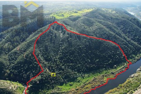 Helårsgrund i Arez e Amieira do Tejo, Portalegre, Arez e Amieira do Tejo - € 150.000 | Ref: 4571 - foto 3