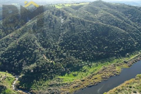 Helårsgrund i Arez e Amieira do Tejo, Portalegre, Arez e Amieira do Tejo - € 150.000 | Ref: 4571 - foto 5