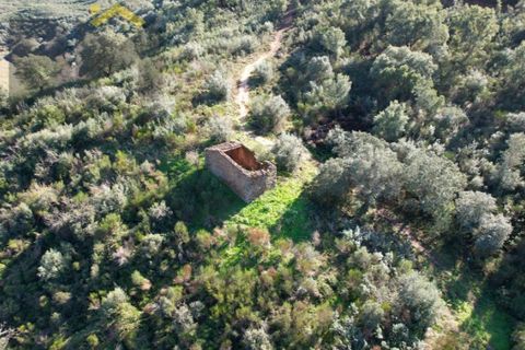 Helårsgrund i Arez e Amieira do Tejo, Portalegre, Arez e Amieira do Tejo - € 150.000 | Ref: 4571 - foto 8