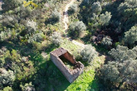 Helårsgrund i Arez e Amieira do Tejo, Portalegre, Arez e Amieira do Tejo - € 150.000 | Ref: 4571 - foto 9