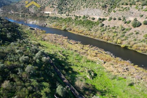 Helårsgrund i Arez e Amieira do Tejo, Portalegre, Arez e Amieira do Tejo - € 150.000 | Ref: 4571 - foto 10