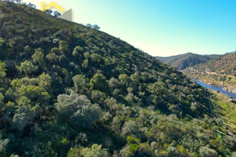 Helårsgrund i Arez e Amieira do Tejo, Portalegre, Arez e Amieira do Tejo - € 150.000 | Ref: 4571 - foto 13