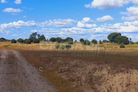 Helårsgrund i Palmela, Setubal, Palmela - € 345.000 | Ref: TER_12811 - foto 6