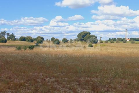 Helårsgrund i Palmela, Setubal, Palmela - € 345.000 | Ref: TER_12811 - foto 7