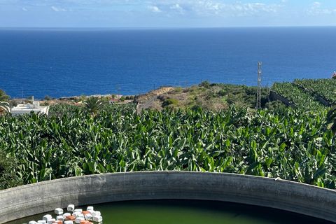 Helårsgrund i Brena Baja, La Palma, Brena Baja - € 999.000 | Ref: 0067-04062/2961 - foto 4