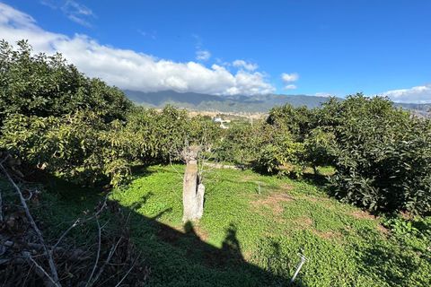 Helårsgrund i Brena Baja, La Palma, Brena Baja - € 999.000 | Ref: 0067-04062/2961 - foto 29