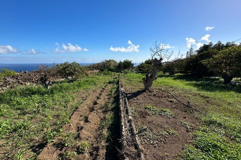 Helårsgrund i Brena Baja, La Palma, Brena Baja - € 999.000 | Ref: 0067-04062/2961 - foto 30