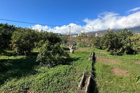 Helårsgrund i Brena Baja, La Palma, Brena Baja - € 999.000 | Ref: 0067-04062/2961 - foto 31
