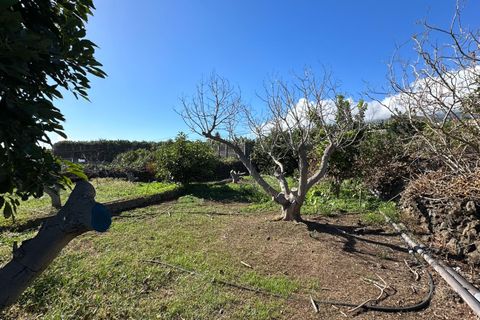 Helårsgrund i Brena Baja, La Palma, Brena Baja - € 999.000 | Ref: 0067-04062/2961 - foto 32