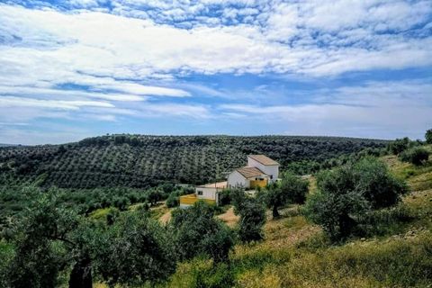 Landhaus in Montoro, Cordoba - Foto 4