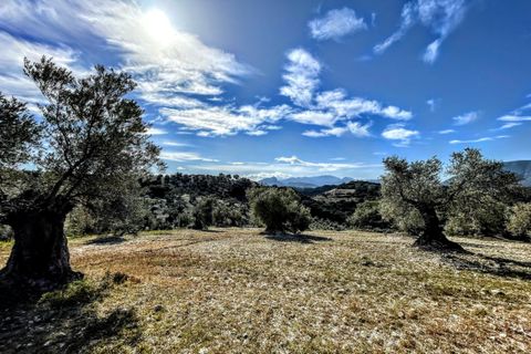 Finca i Olvera, Cadiz, Olvera - € 450 000 | Ref: am263 - foto 2