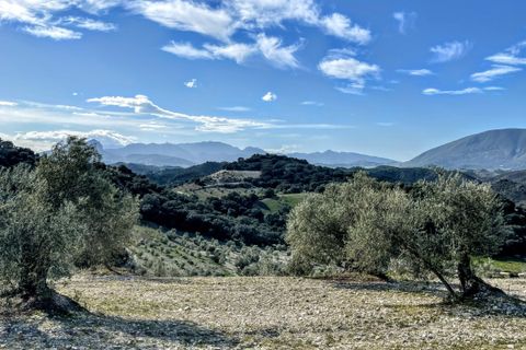 Finca i Olvera, Cadiz, Olvera - € 450 000 | Ref: am263 - foto 6