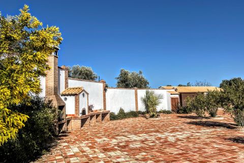 Finca i Olvera, Cadiz, Olvera - € 450 000 | Ref: am263 - foto 19