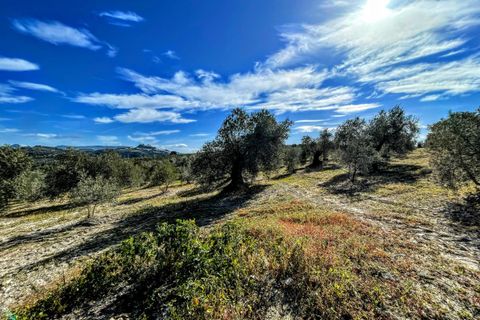 Finca i Olvera, Cadiz, Olvera - € 450 000 | Ref: am263 - foto 25