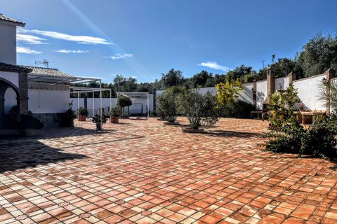 Finca i Olvera, Cadiz, Olvera - € 450 000 | Ref: am263 - foto 29