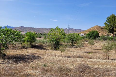 Landejendom i Sorbas, Almeria, Sorbas - € 105.000 | Ref: 588 - foto 33
