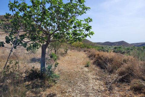 Landejendom i Sorbas, Almeria, Sorbas - € 105.000 | Ref: 588 - foto 35