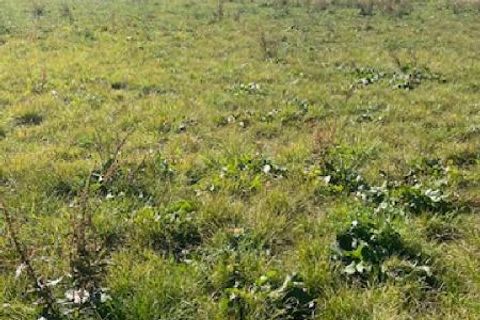 Terra a Jallaucourt, Moselle, Jallaucourt - € 66.000 | Ref: V627 - foto 6