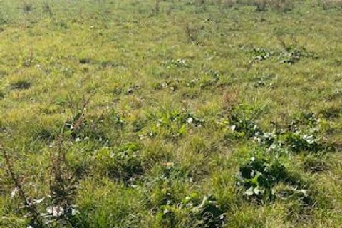 Terra a Jallaucourt, Moselle, Jallaucourt - € 56.000 | Ref: V643 - foto 6