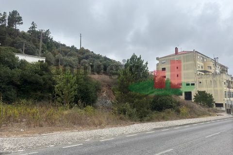 Terra em Minde, Santarem, Minde - € 35.000 | Ref: 758.23 - foto 2