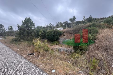 Terra em Minde, Santarem, Minde - € 35.000 | Ref: 758.23 - foto 3