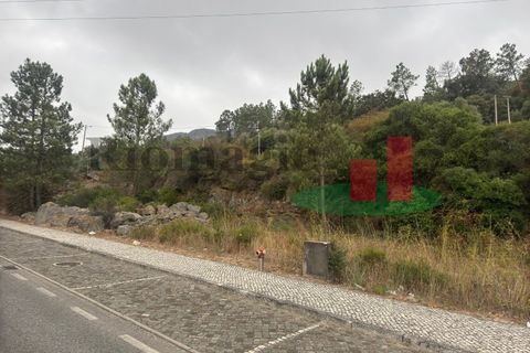 Terra em Minde, Santarem, Minde - € 35.000 | Ref: 758.23 - foto 4