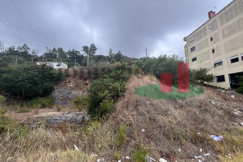 Terra em Minde, Santarem, Minde - € 35.000 | Ref: 758.23 - foto 5