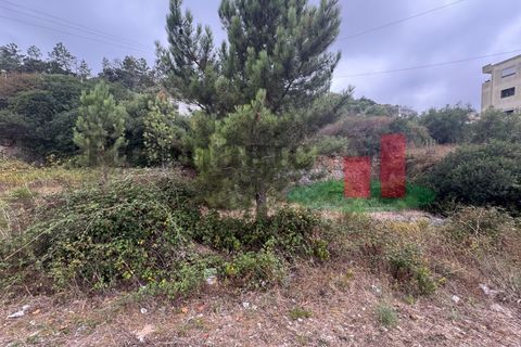 Terra em Minde, Santarem, Minde - € 35.000 | Ref: 758.23 - foto 6