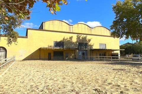 Villa en Arles, Bouches-du-Rhone, Arles - € 1.270.000 | Ref: 2515-ANG - photo 4