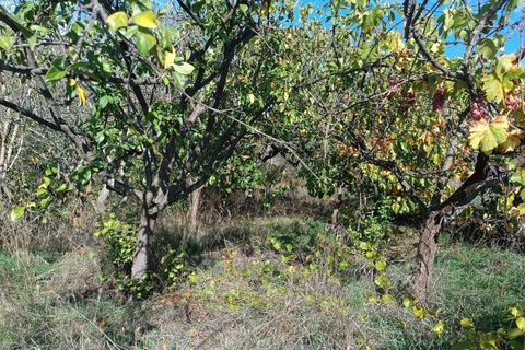 Landejendom i Tarouca, Viseu, Tarouca - € 55.000 | Ref: LMG_3759 - N - foto 3