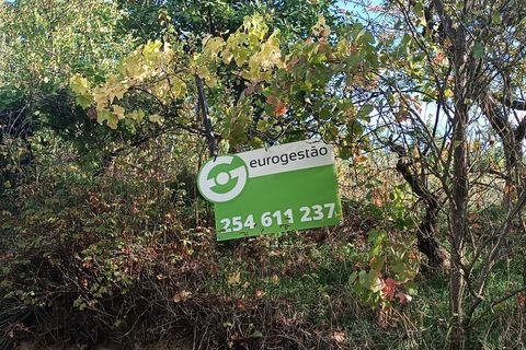 Landejendom i Tarouca, Viseu, Tarouca - € 55.000 | Ref: LMG_3759 - N - foto 4