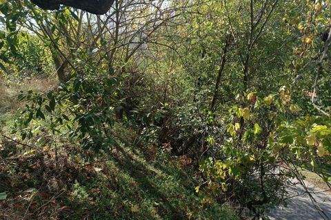 Landejendom i Tarouca, Viseu, Tarouca - € 55.000 | Ref: LMG_3759 - N - foto 5