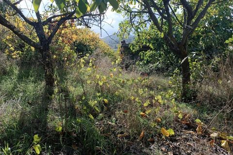 Landejendom i Tarouca, Viseu, Tarouca - € 55.000 | Ref: LMG_3759 - N - foto 7
