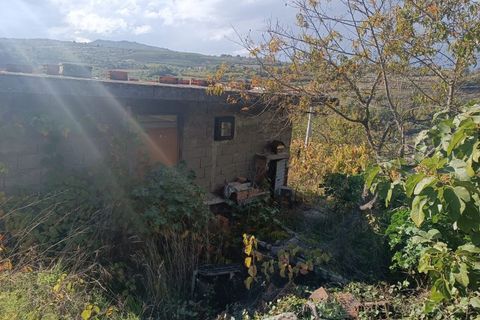Landejendom i Tarouca, Viseu, Tarouca - € 55.000 | Ref: LMG_3759 - N - foto 9