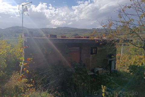 Landejendom i Tarouca, Viseu, Tarouca - € 55.000 | Ref: LMG_3759 - N - foto 10