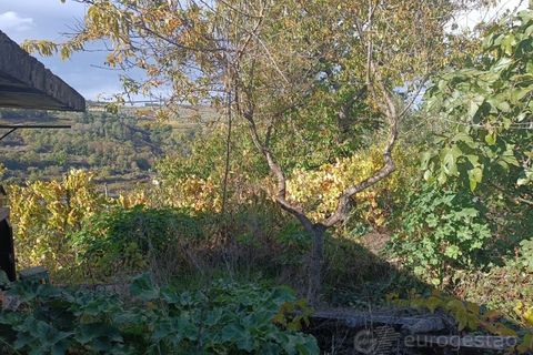 Landejendom i Tarouca, Viseu, Tarouca - € 55.000 | Ref: LMG_3759 - N - foto 12