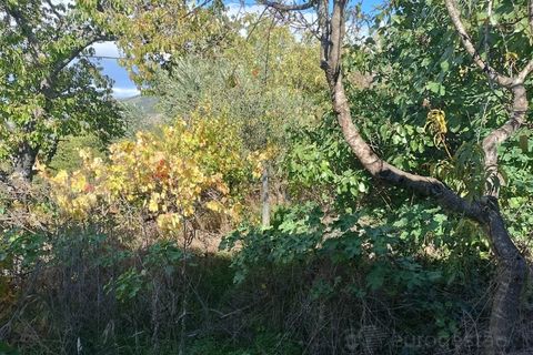 Landejendom i Tarouca, Viseu, Tarouca - € 55.000 | Ref: LMG_3759 - N - foto 13