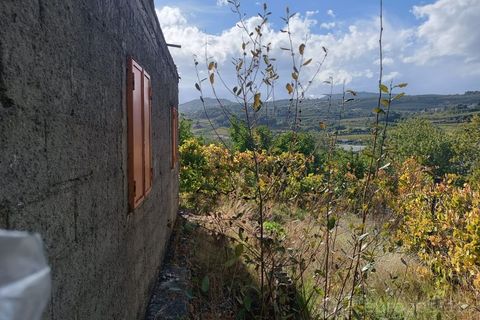 Landejendom i Tarouca, Viseu, Tarouca - € 55.000 | Ref: LMG_3759 - N - foto 14