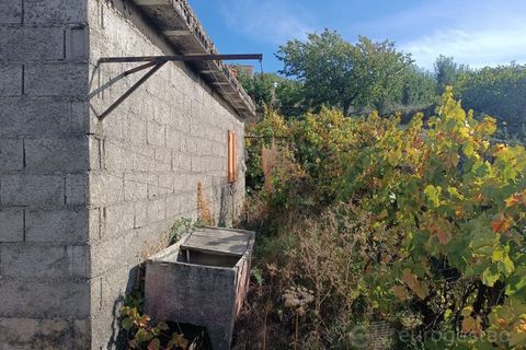 Landejendom i Tarouca, Viseu, Tarouca - € 55.000 | Ref: LMG_3759 - N - foto 17