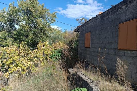 Landejendom i Tarouca, Viseu, Tarouca - € 55.000 | Ref: LMG_3759 - N - foto 18
