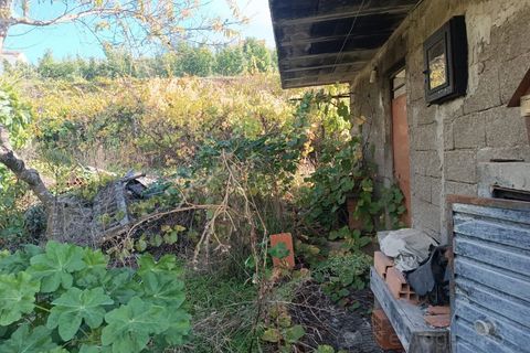 Landejendom i Tarouca, Viseu, Tarouca - € 55.000 | Ref: LMG_3759 - N - foto 19